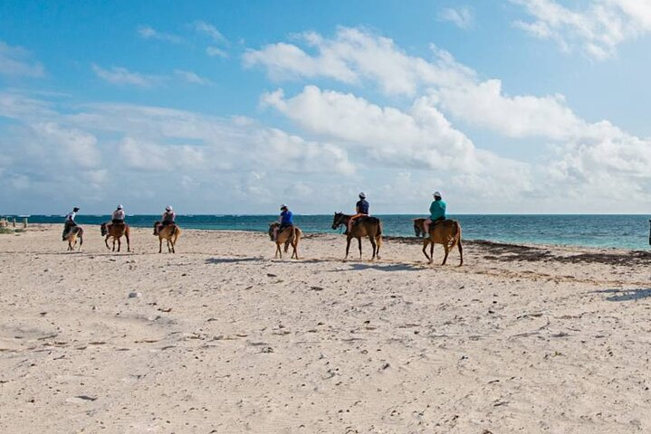 Private Horseback Riding On The Beach - Photo 1 of 2